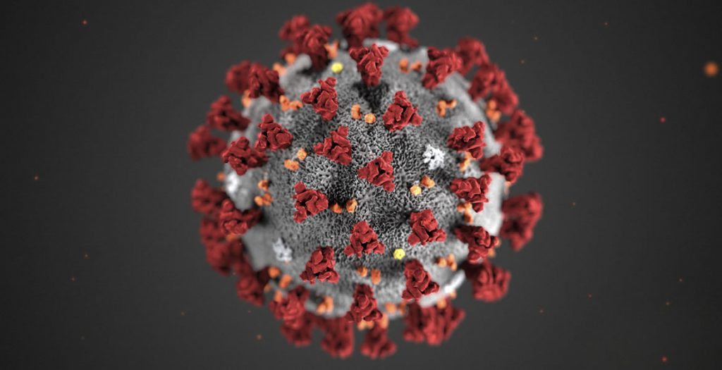 Novel Coronavirus nCoV